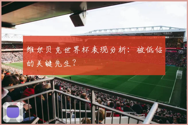 维尔贝克世界杯表现分析:被低估的关键先生?