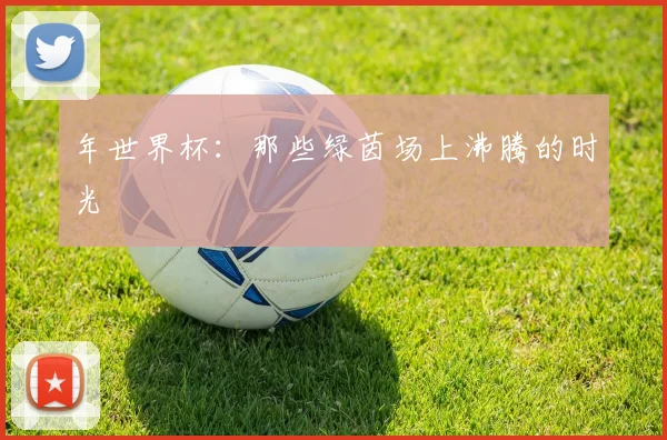 年世界杯：那些绿茵场上沸腾的时光