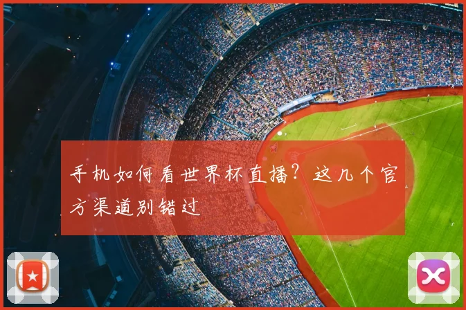 手机如何看世界杯直播?这几个官方渠道别错过