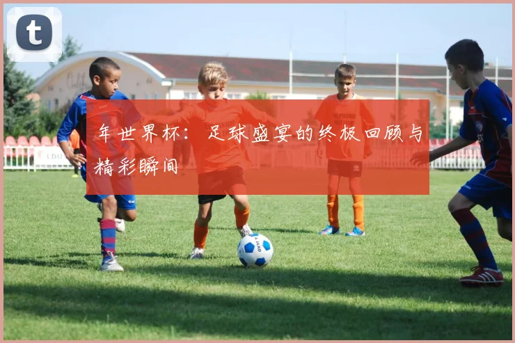 年世界杯：足球盛宴的终极回顾与精彩瞬间