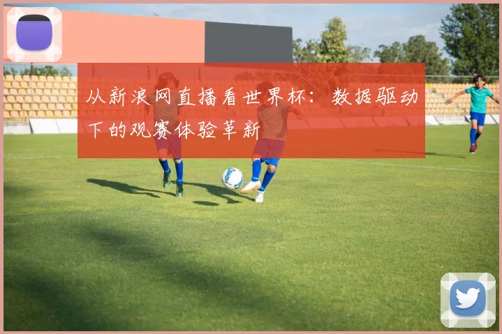 从新浪网直播看世界杯：数据驱动下的观赛体验革新
