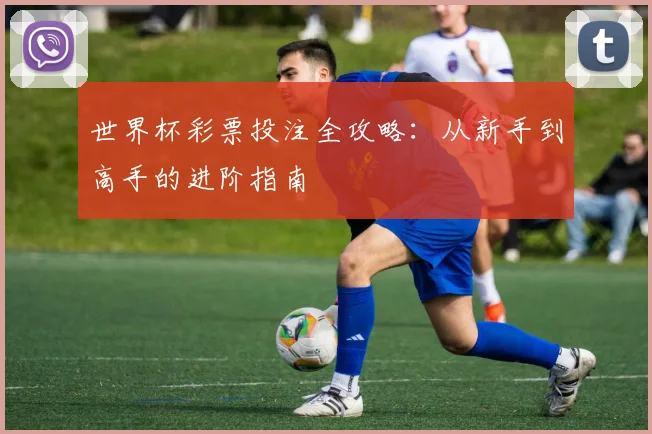 世界杯彩票投注全攻略：从新手到高手的进阶指南