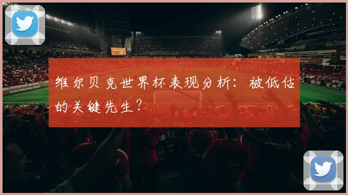 维尔贝克世界杯表现分析:被低估的关键先生?